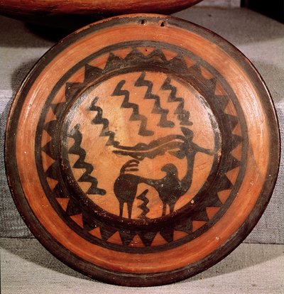 Coperchio di un